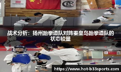 B33体育平台
