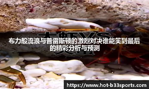 B33体育首页